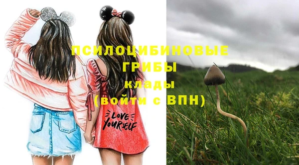 MDMA Краснослободск