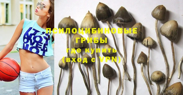 MDMA Краснослободск
