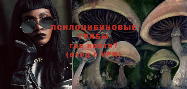 MDMA Краснослободск