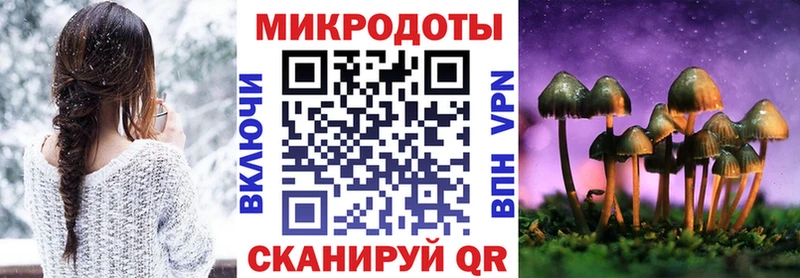 дарнет шоп  Самара  Галлюциногенные грибы Cubensis 