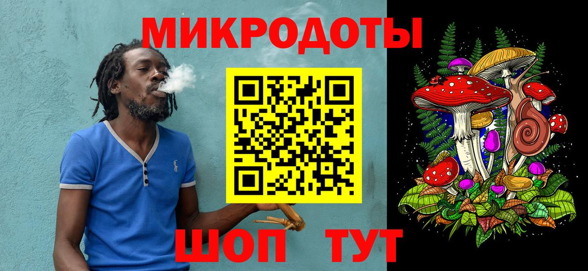 Псилоцибиновые грибы Psilocybine cubensis Самара